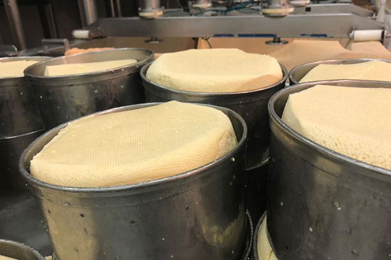 Queso Por Salut Lattaia