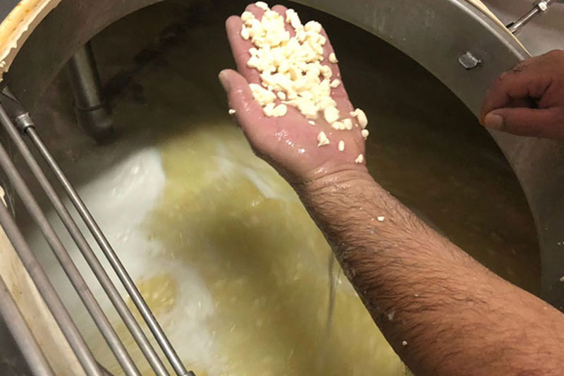 Moldes de queso